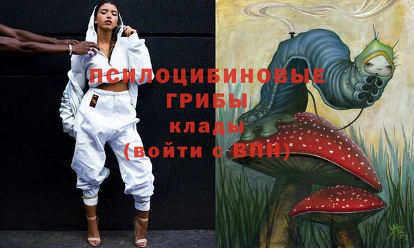 PSILOCYBIN Зеленодольск