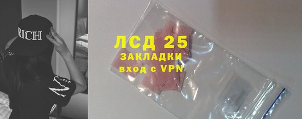 PSILOCYBIN Зеленодольск