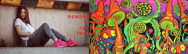 PSILOCYBIN Зеленодольск