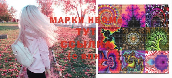 PSILOCYBIN Зеленодольск