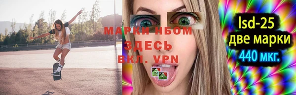 PSILOCYBIN Зеленодольск