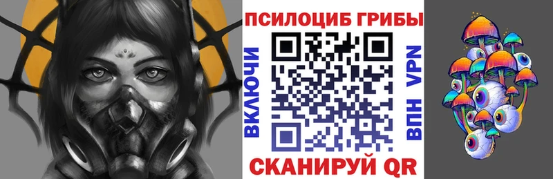 Купить  Белоозёрский  Галлюциногенные грибы прущие грибы 